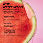 Sliced watermelon graphic explaining the fruit's hydrating, pore-refining benefits used in the Watermelon Glow Toner formula.