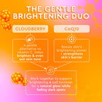 Ingredient spotlight infographic explaining how cloudberry and CoQ10 in this moisture cream brighten and even skin tone.