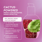 Glow Recipe Prickly Pear Peptide Mucin infographic spotlighting cactus extract as the formula's core power ingredient.